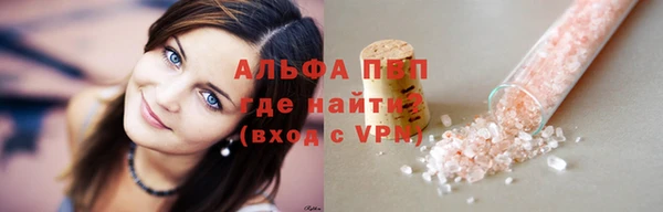 индика Вязники