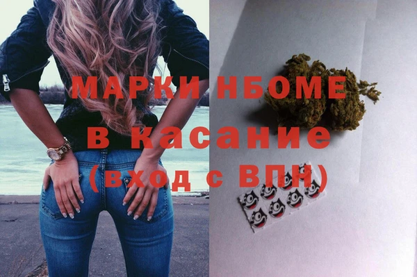 индика Вязники