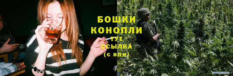 закладка  Котлас  Бошки Шишки SATIVA & INDICA 